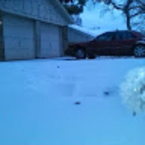 Meet your Posher, Thomas